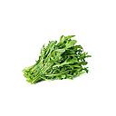 Bunch arugula 100gr