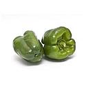 Pimiento verde California