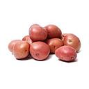 Red Pontiac Small  Potato 