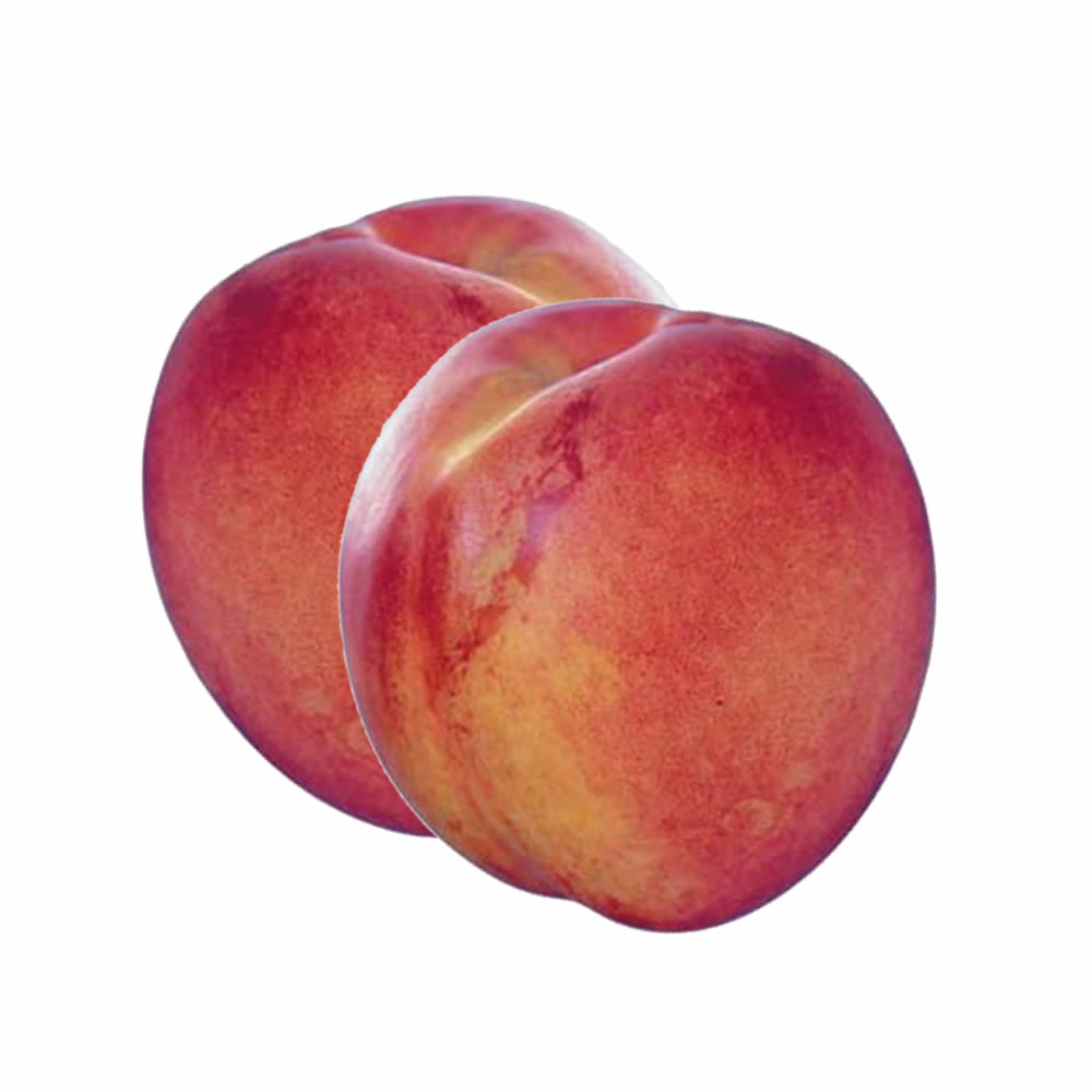 Nectarina