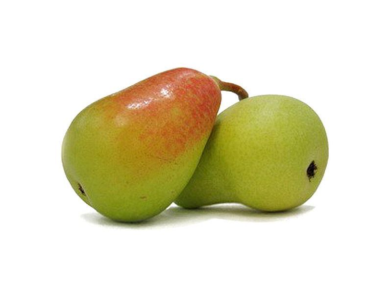 Pera Ercolina