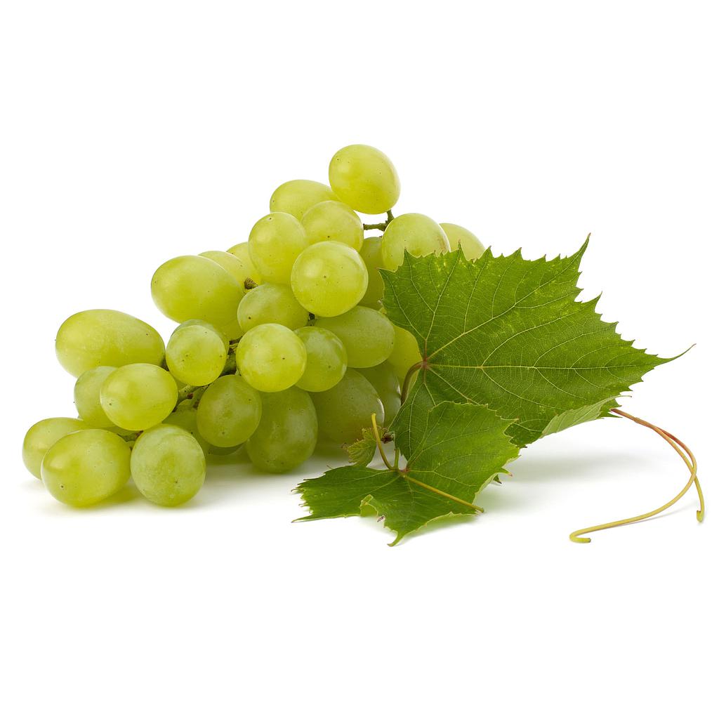 White grape 