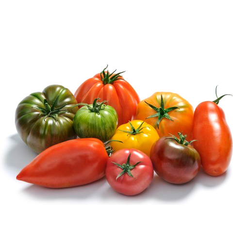Variedad de tomates 