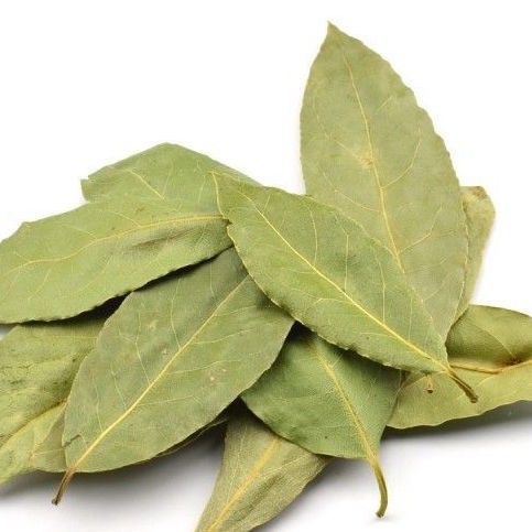 laurel leaves