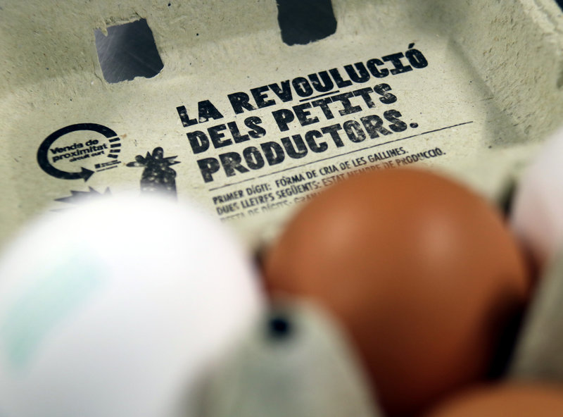 Huevos ecológicos
