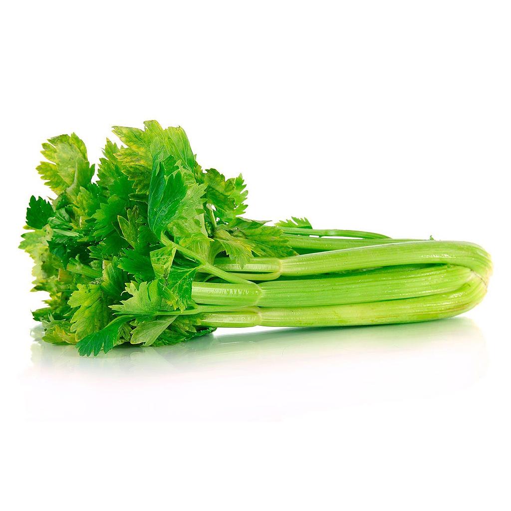 white celery