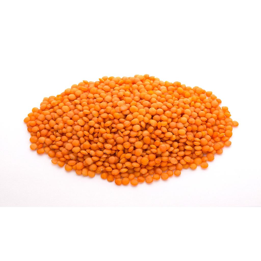 Organic red lentil 