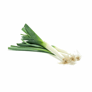 Bunch Leek
