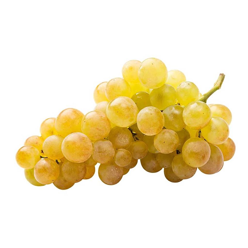 Raïm blanc Moscatell
