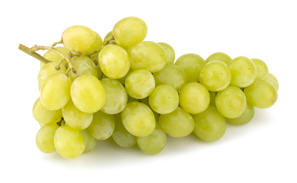 Raïm Blanc &quot;Victoria&quot;