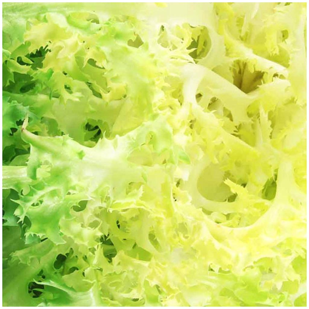 Escarola neta ( bossa de 250gr) 