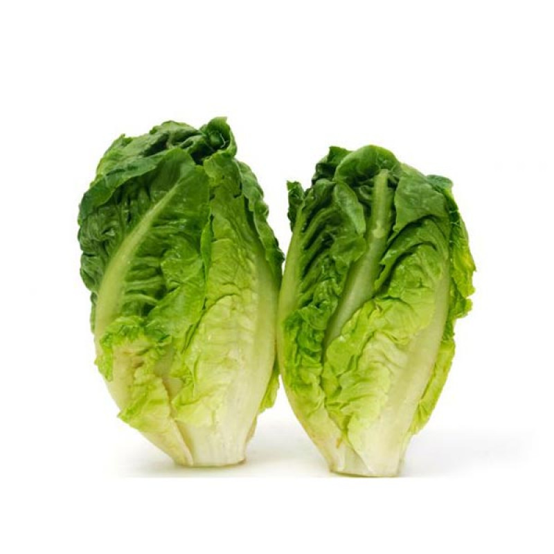 Cogollos 