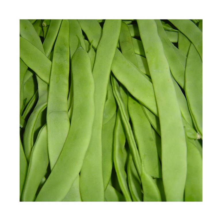 Green bean  (0,500kg)