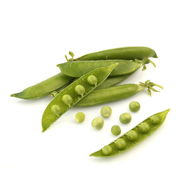 Pèsols 2kg Oferta